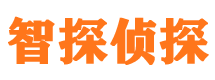 万载市侦探公司